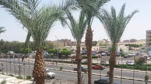 1500 SQM Land For Sale in EL Nour District, Hurghada