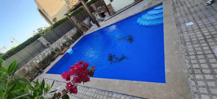 villa with pool for rent in makadi_8398a_lg